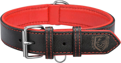Premium Padded Leather Dog Collar
