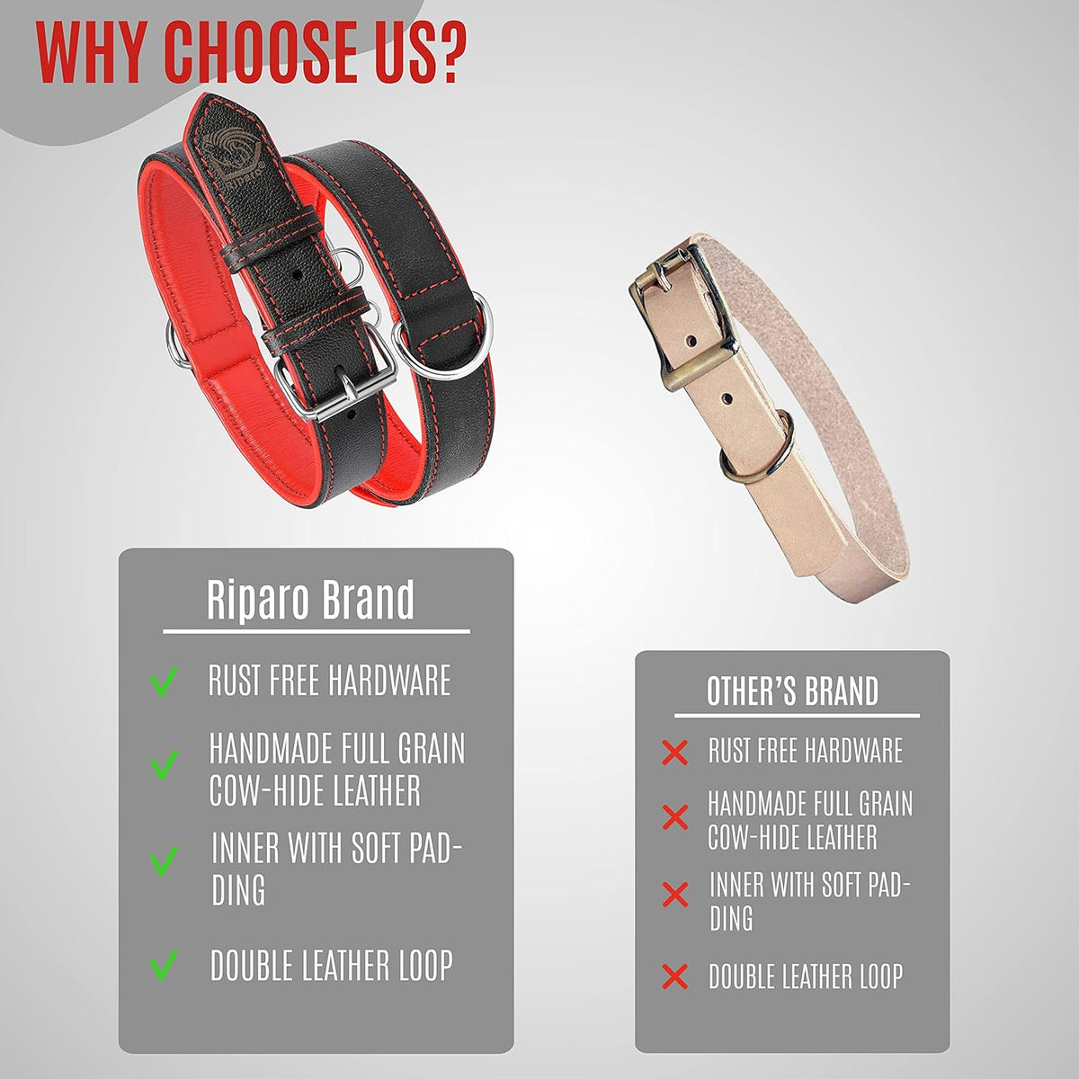 Premium Padded Leather Dog Collar