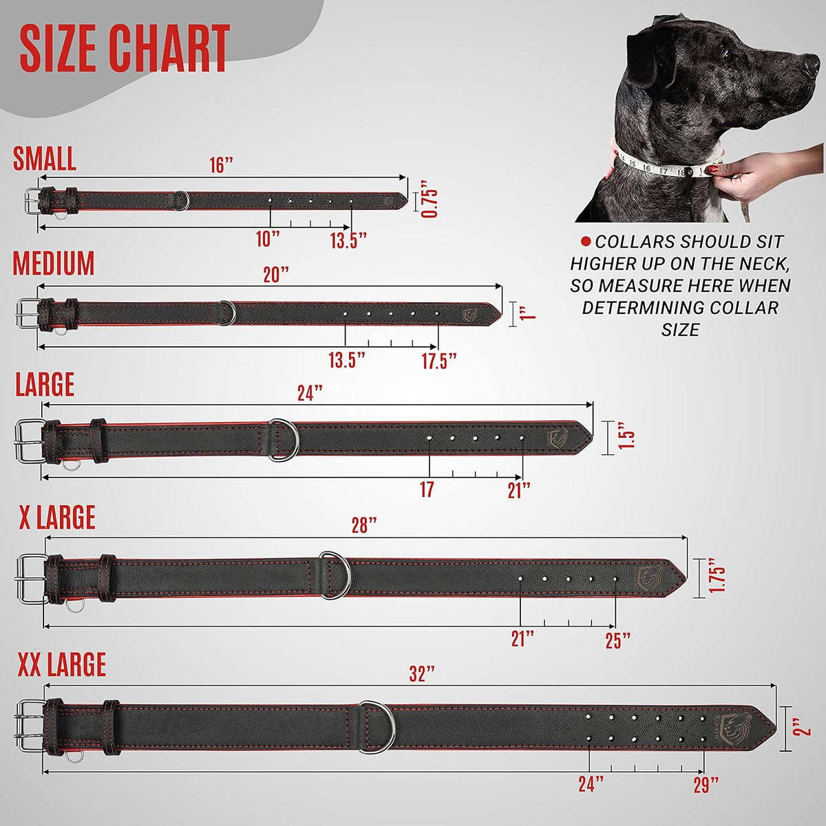 Premium Padded Leather Dog Collar