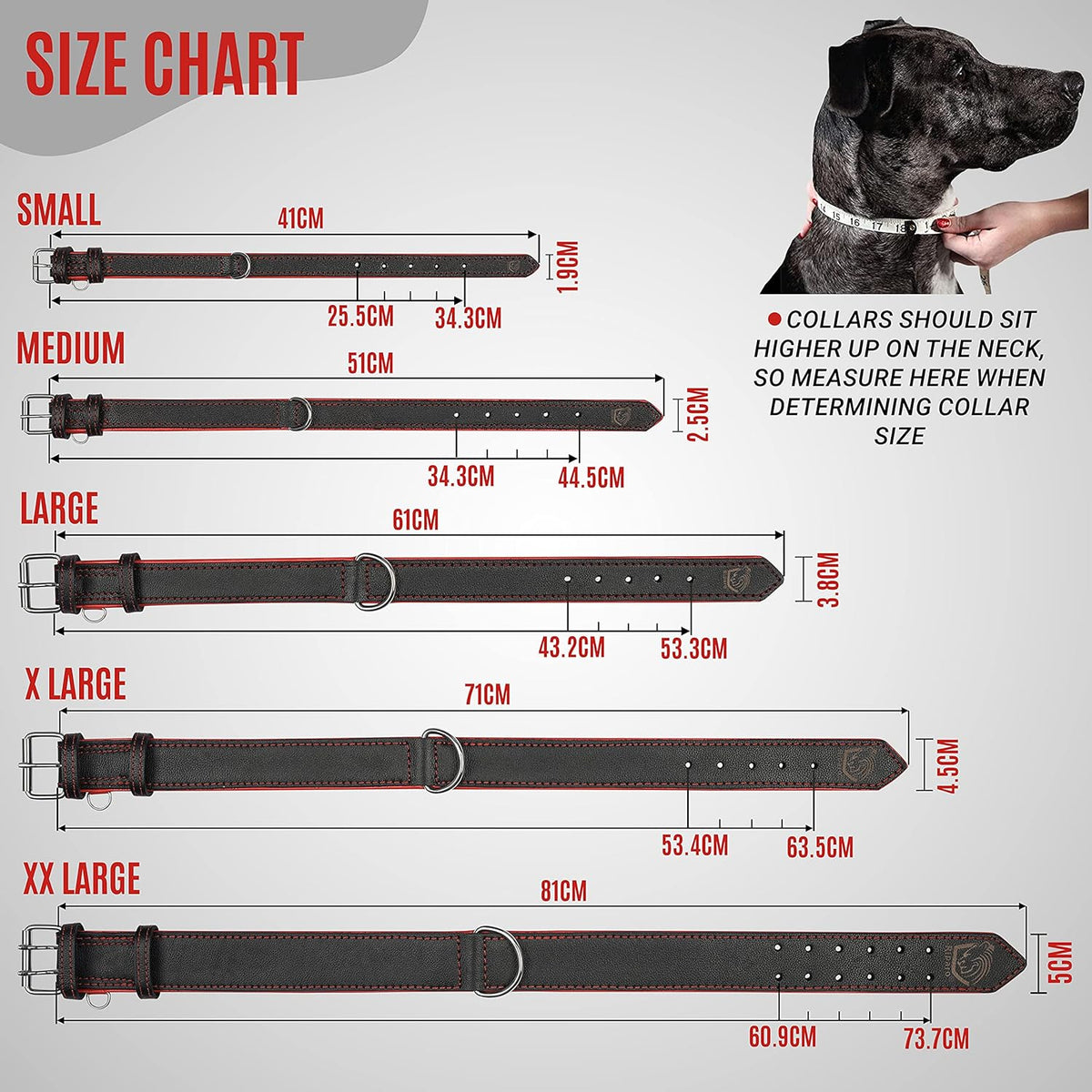 Premium Padded Leather Dog Collar