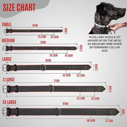 Premium Padded Leather Dog Collar