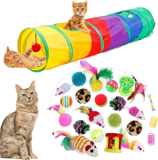 The Ultimate Cat Entertainment Bundle