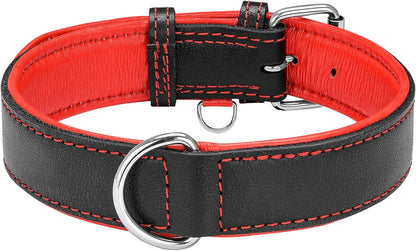 Premium Padded Leather Dog Collar