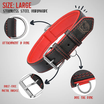 Premium Padded Leather Dog Collar