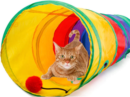 The Ultimate Cat Entertainment Bundle