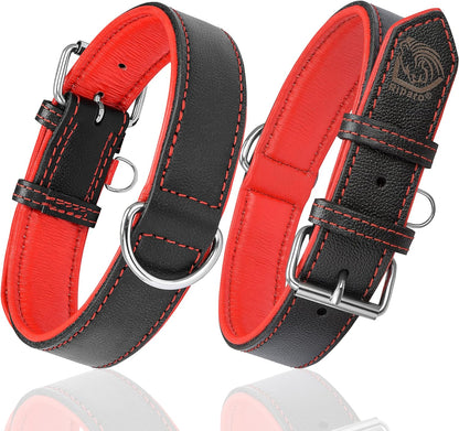 Premium Padded Leather Dog Collar